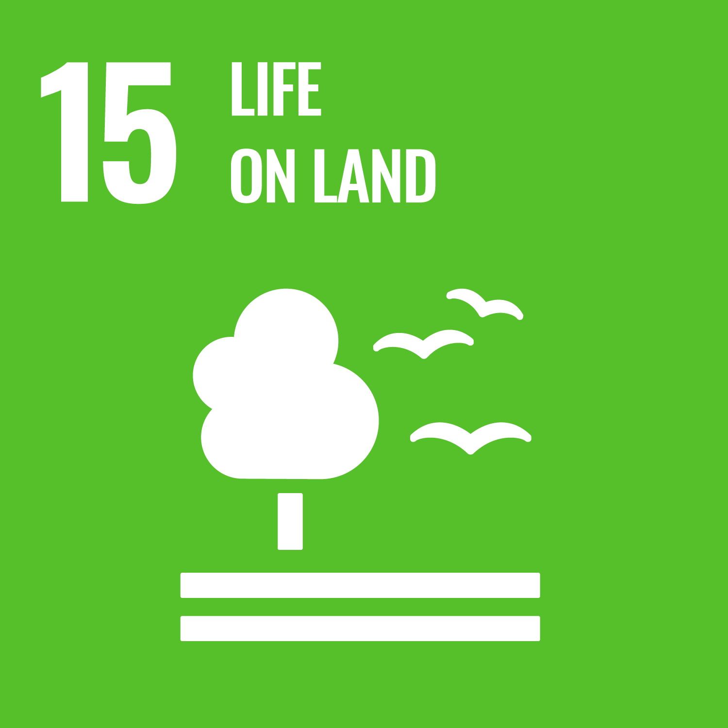 SDG 15: Climate Action